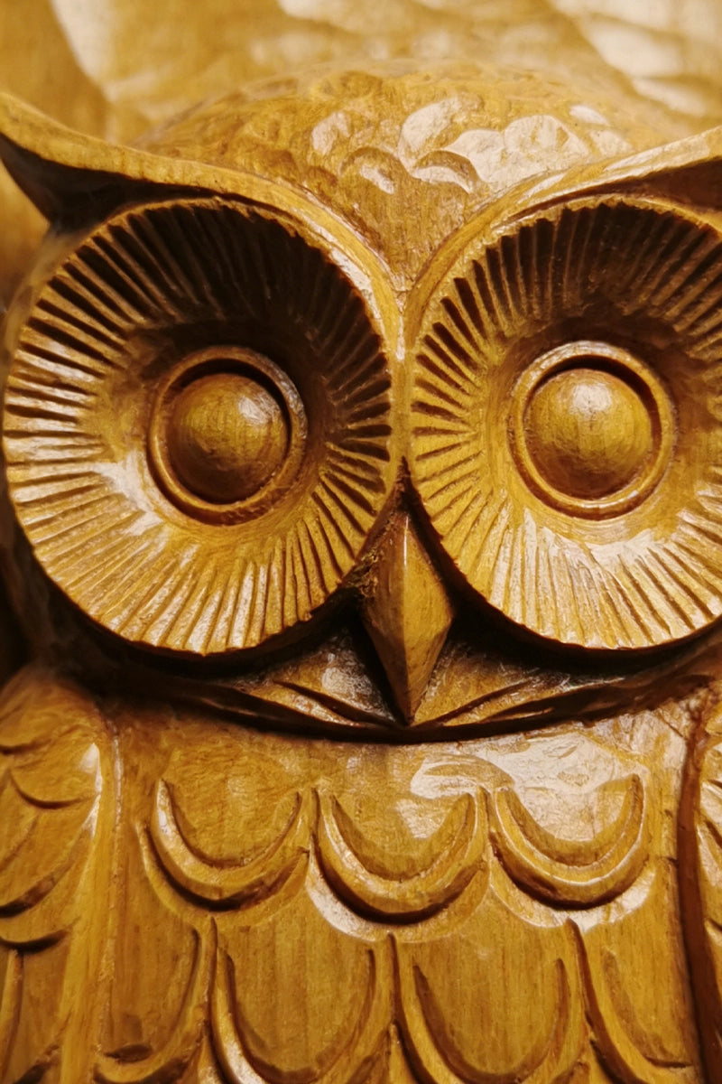 Owl wood carving detail showing concentric eye rings and feather layers