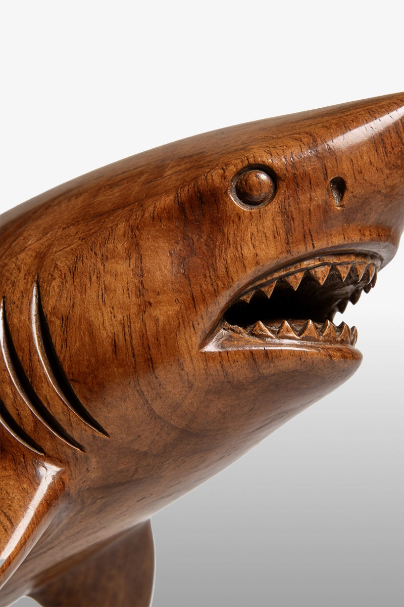 Shark wood sculpture detail showing gill slits, teeth, and polished grain